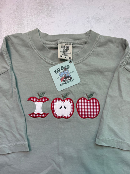 Apple Gingham T-shirt – Fall Apple Appliqué Tee, Apple Picking T-shirt, Cute Autumn Shirt, Country Fall Outfit
